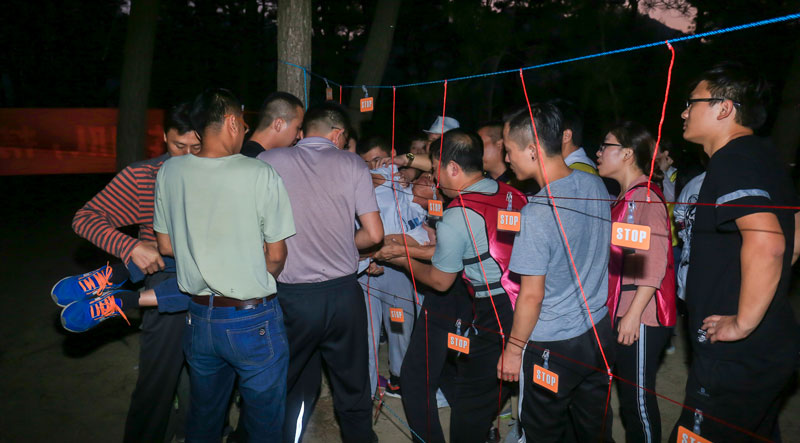 拓展訓(xùn)練　電網(wǎng)